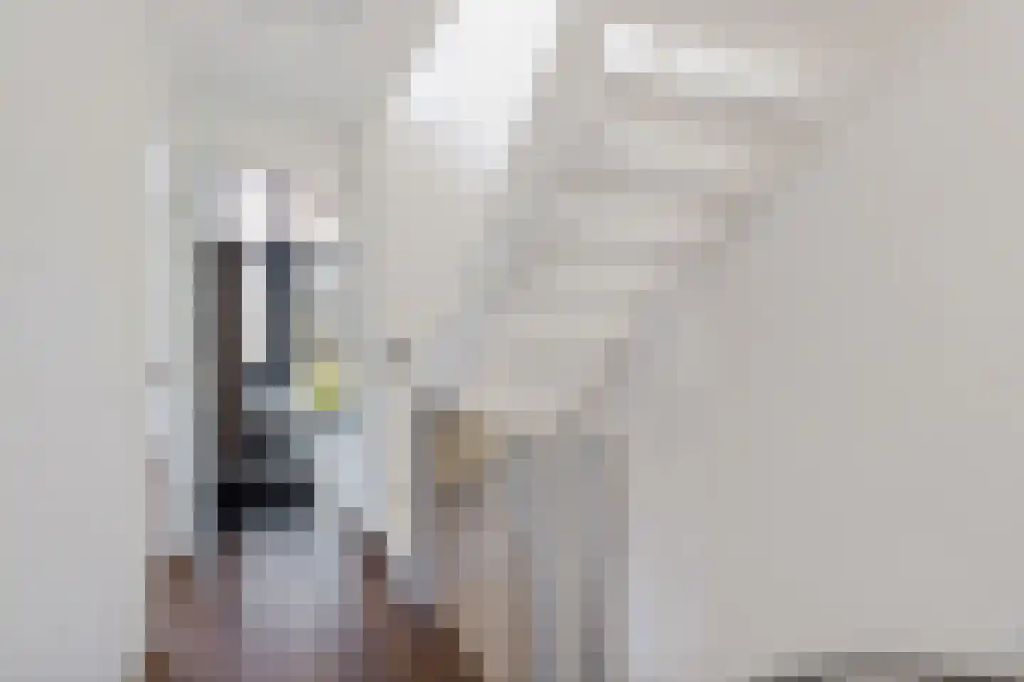 Menorcalaan 14 Rotterdam thumbnail 20