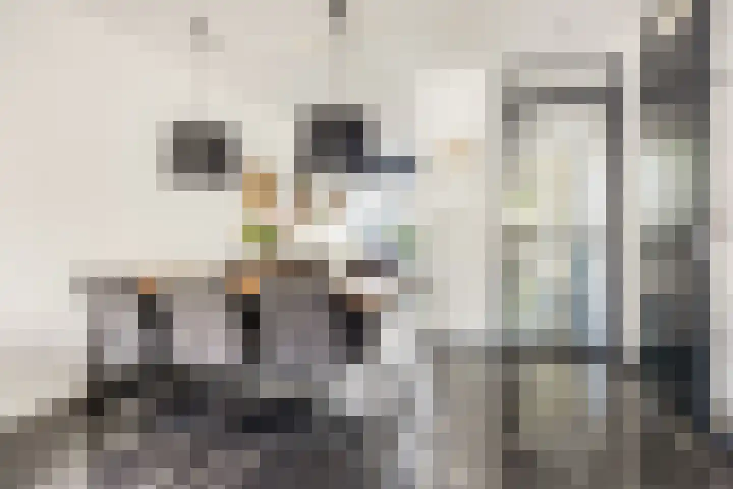 Menorcalaan 33 Rotterdam thumbnail 15