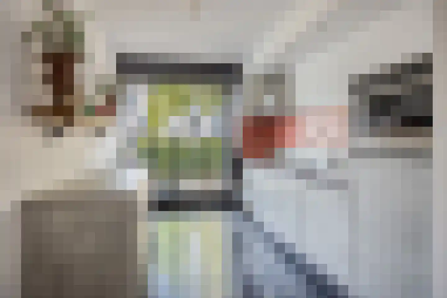 Menorcalaan 33 Rotterdam thumbnail 16