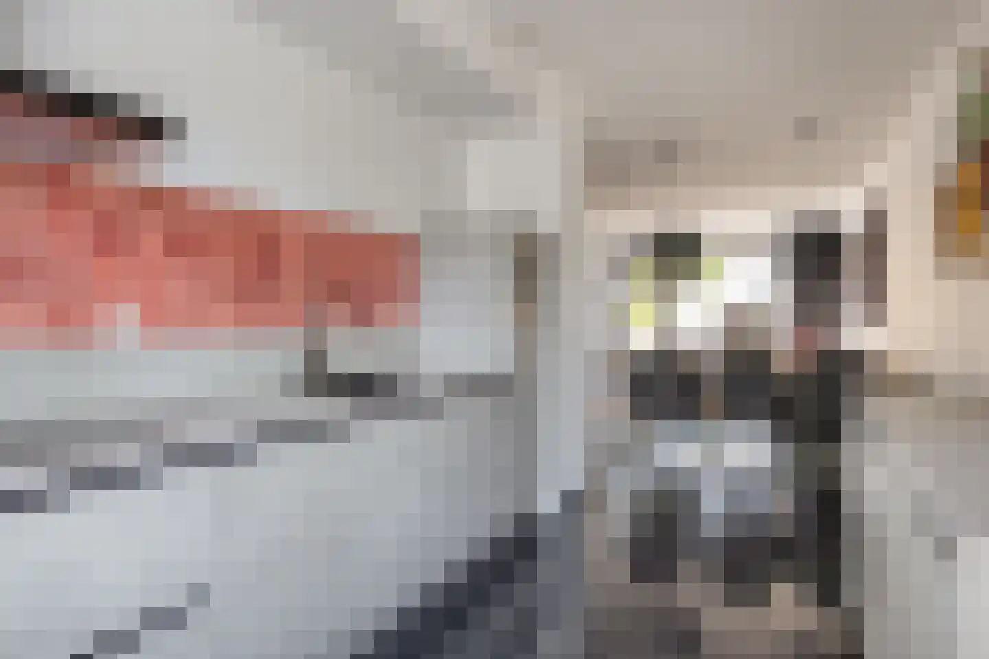 Menorcalaan 33 Rotterdam thumbnail 19