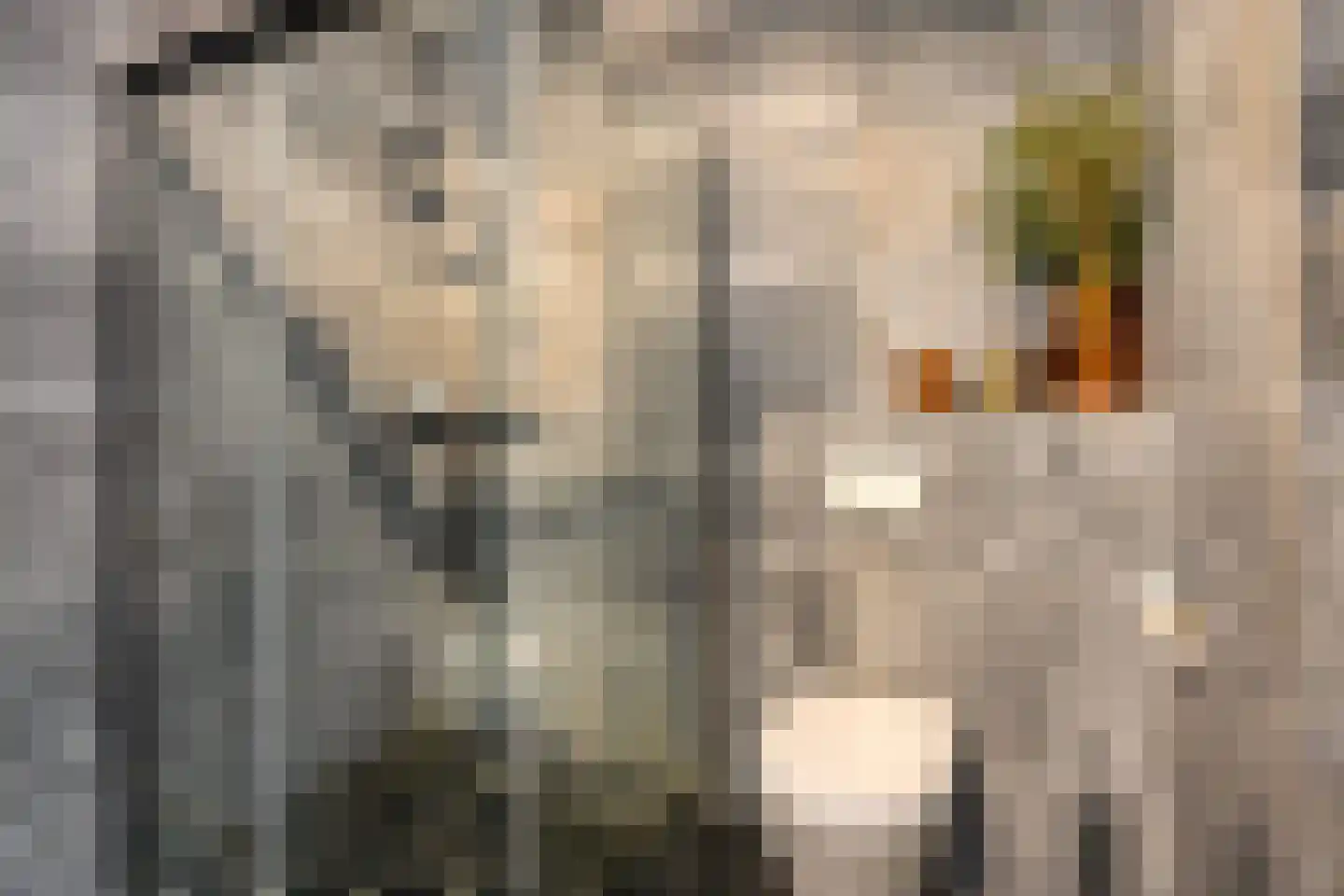 Menorcalaan 33 Rotterdam thumbnail 30
