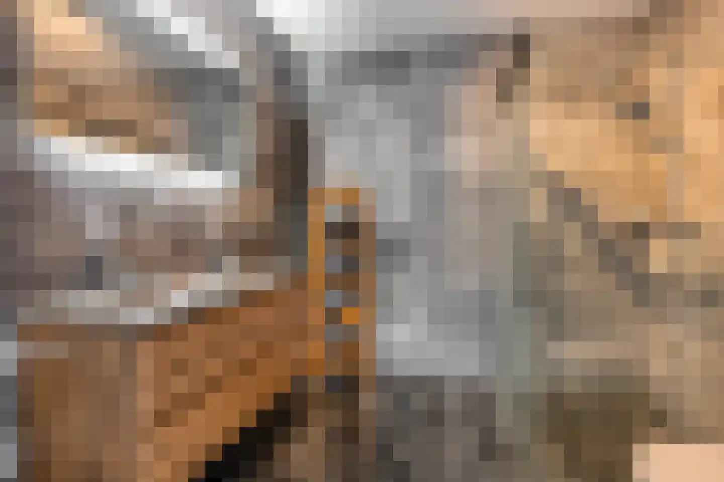 Menorcalaan 33 Rotterdam thumbnail 31