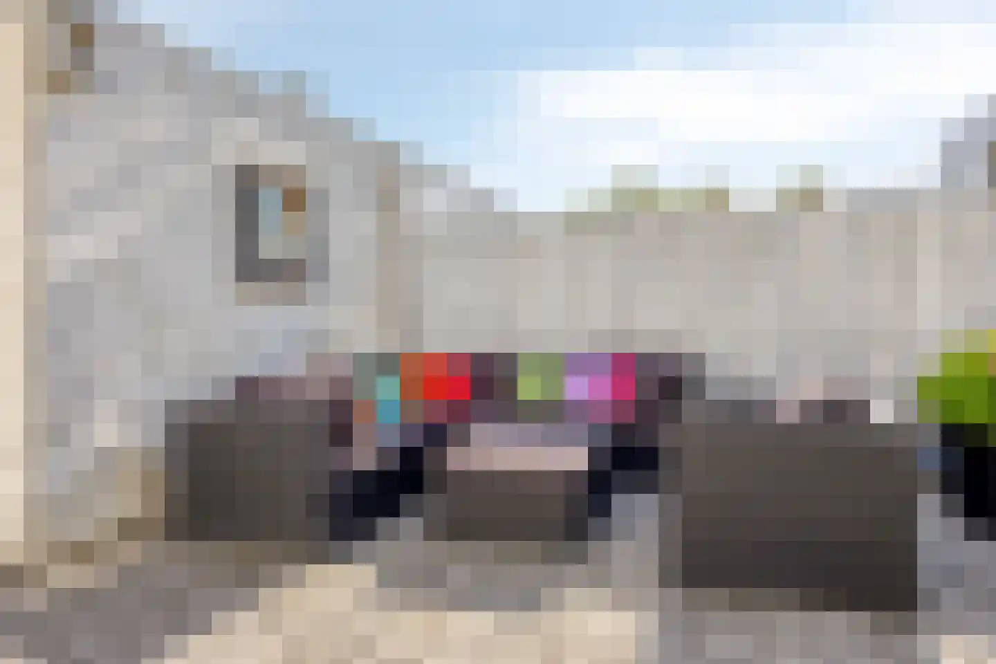 Menorcalaan 33 Rotterdam thumbnail 41