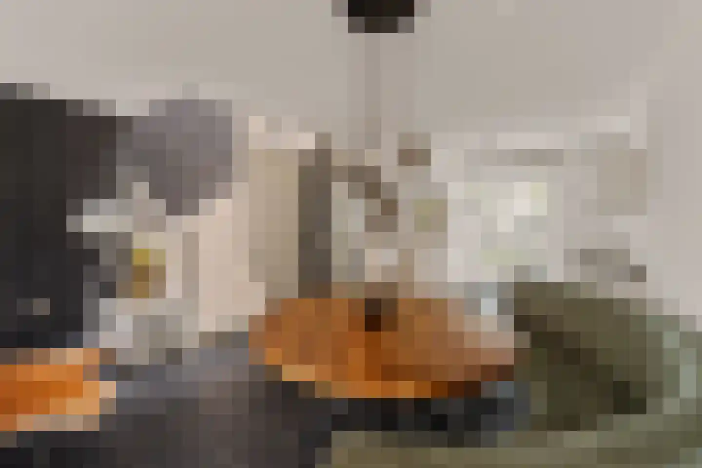 Menorcalaan 5 Rotterdam thumbnail 15