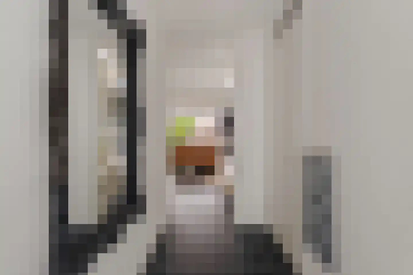 Menorcalaan 5 Rotterdam thumbnail 20