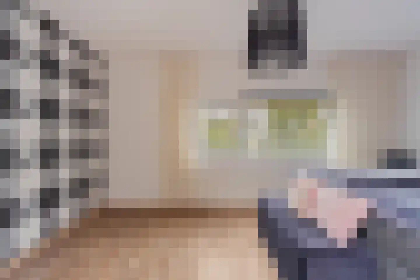 Menorcalaan 5 Rotterdam thumbnail 22