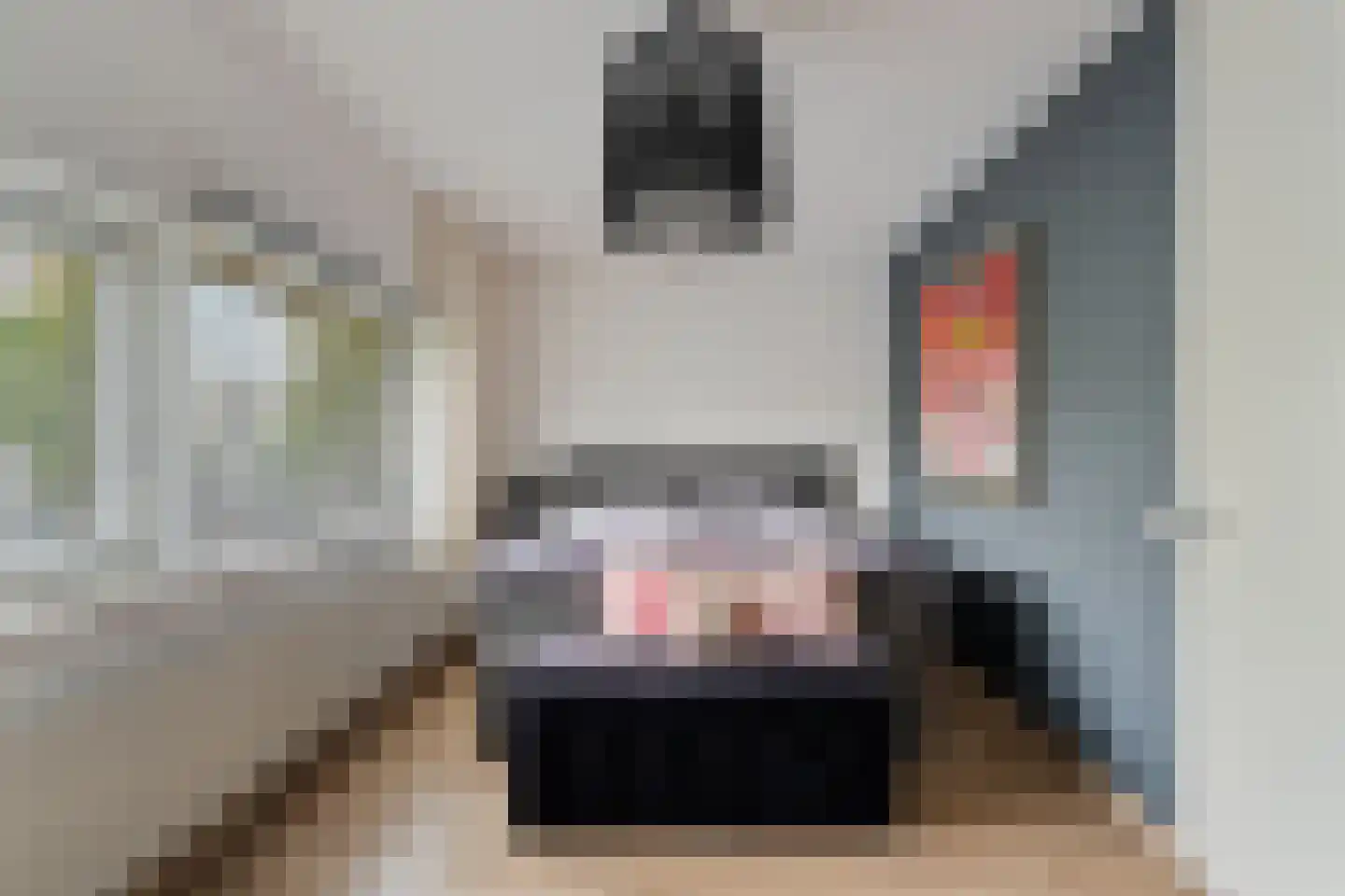 Menorcalaan 5 Rotterdam thumbnail 23