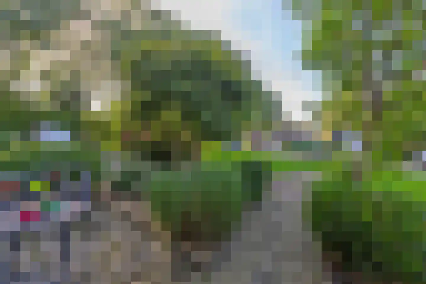 Menpad 26 Nieuw-Weerdinge thumbnail 11