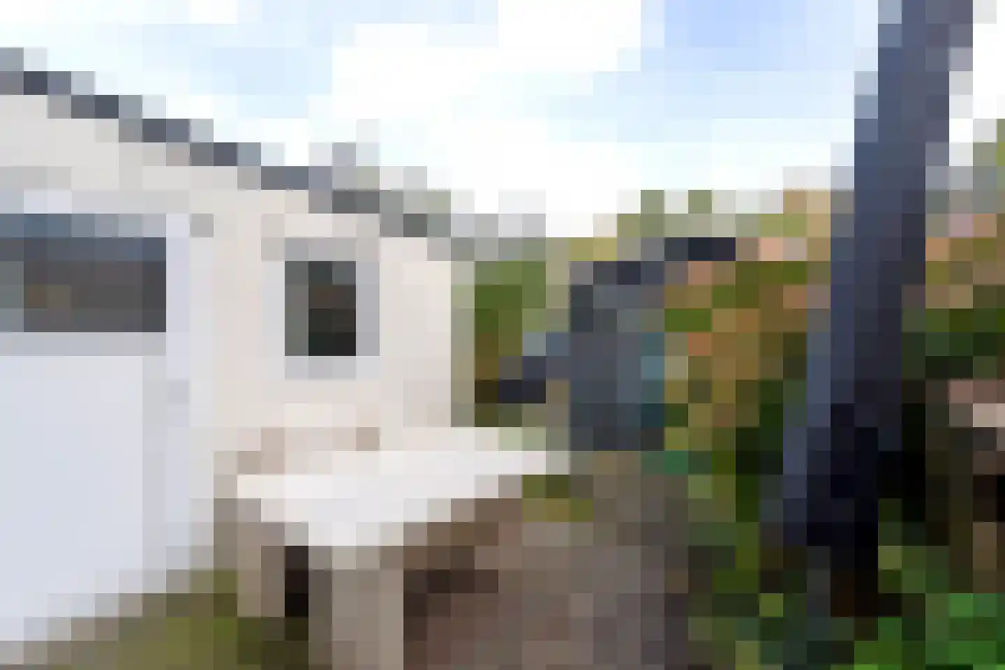 Menpad 26 Nieuw-Weerdinge thumbnail 24
