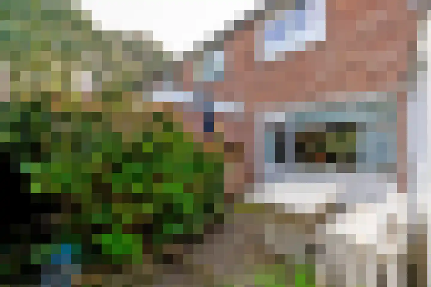 Menpad 26 Nieuw-Weerdinge thumbnail 25