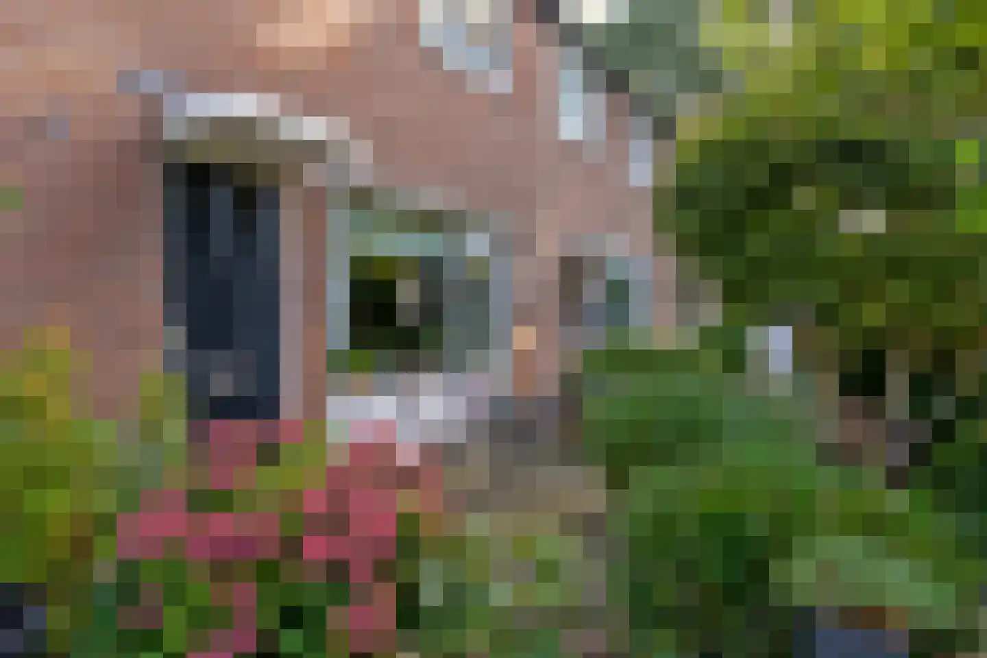 Menpad 26 Nieuw-Weerdinge foto 3