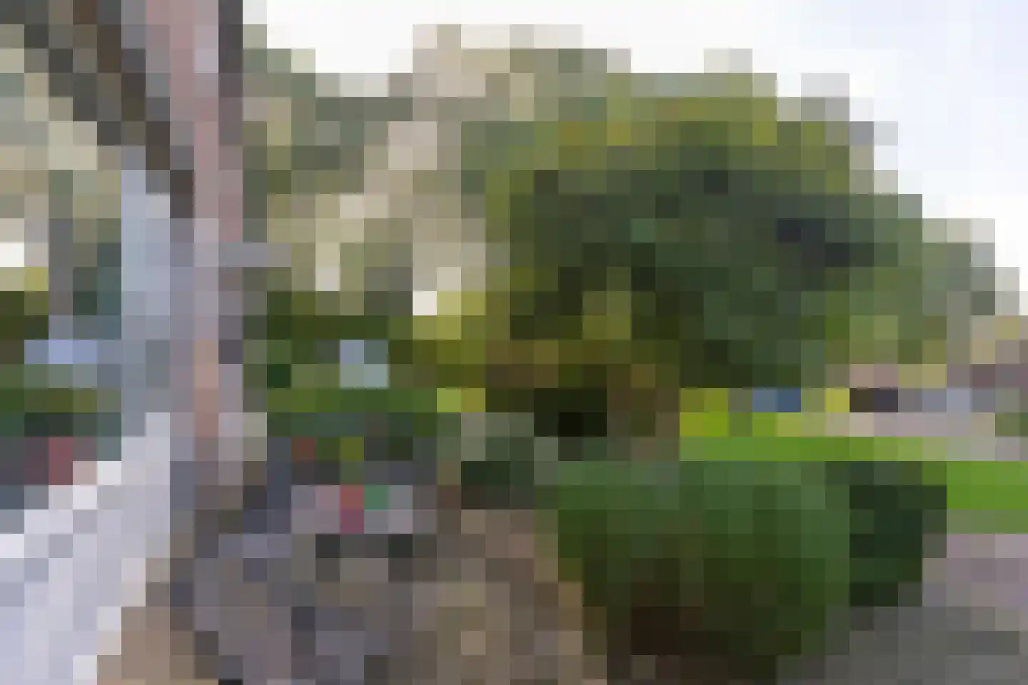Menpad 26 Nieuw-Weerdinge thumbnail 4