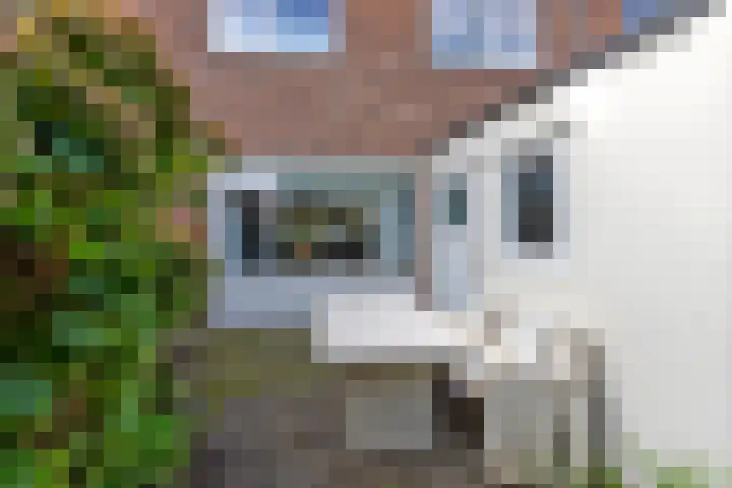 Menpad 26 Nieuw-Weerdinge thumbnail 5