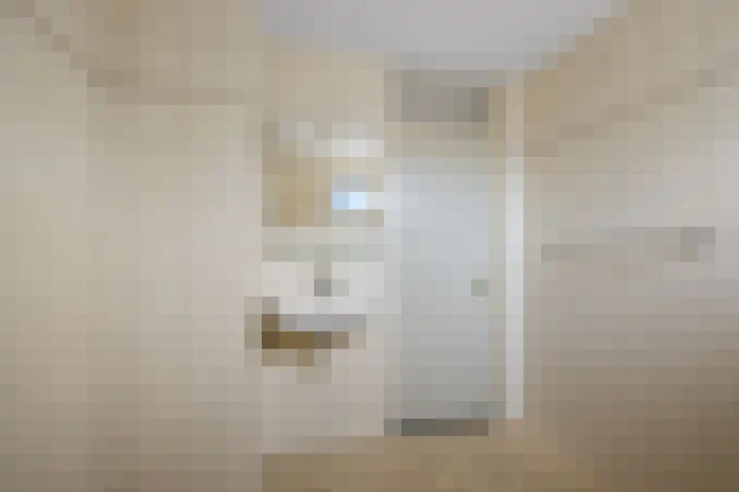 Menschikoffstraat 68 Zaandam thumbnail 23