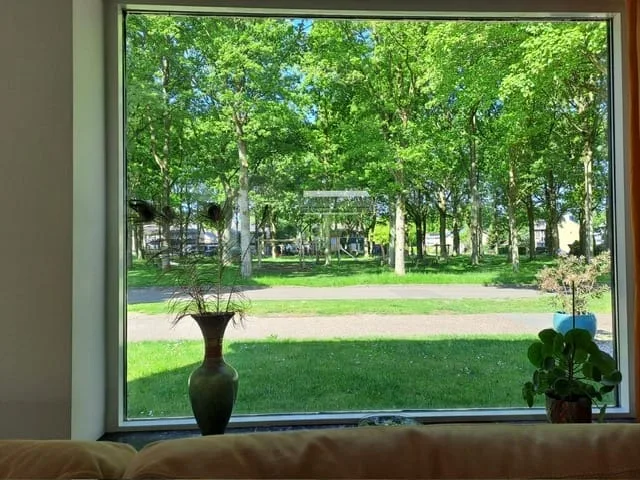 Mensinge 15 Zuidlaren thumbnail 16