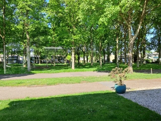 Mensinge 15 Zuidlaren thumbnail 17