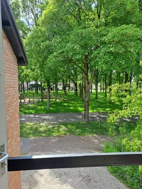 Mensinge 15 Zuidlaren thumbnail 44