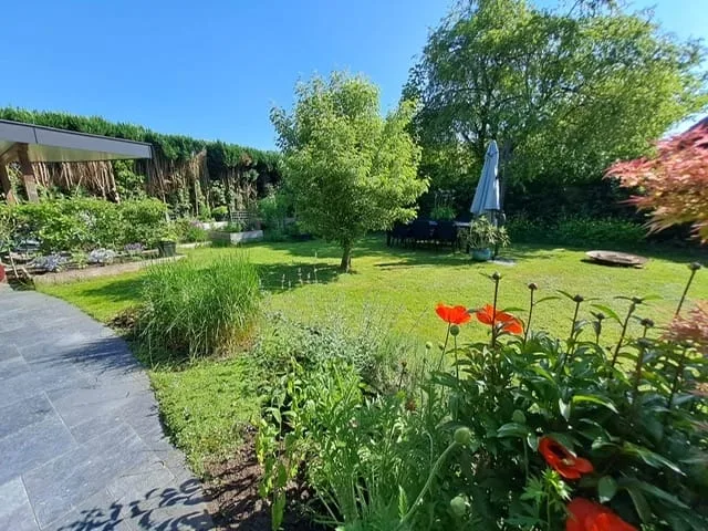 Mensinge 15 Zuidlaren thumbnail 59