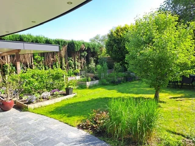 Mensinge 15 Zuidlaren thumbnail 60