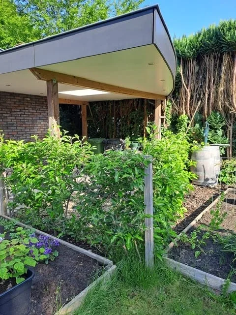 Mensinge 15 Zuidlaren thumbnail 66