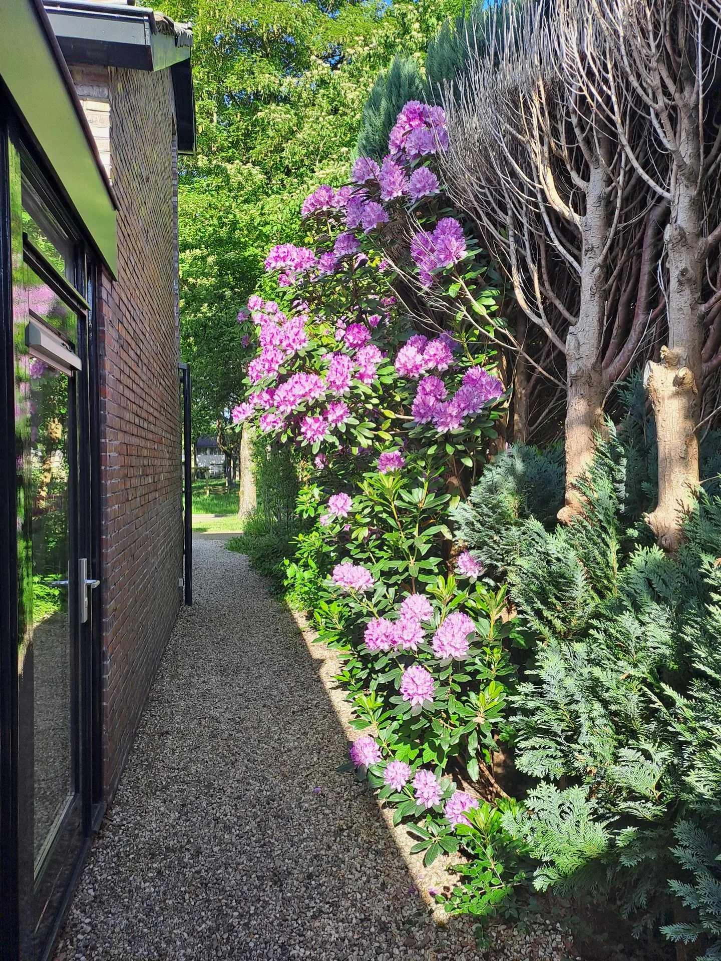 Mensinge 15 Zuidlaren thumbnail 72