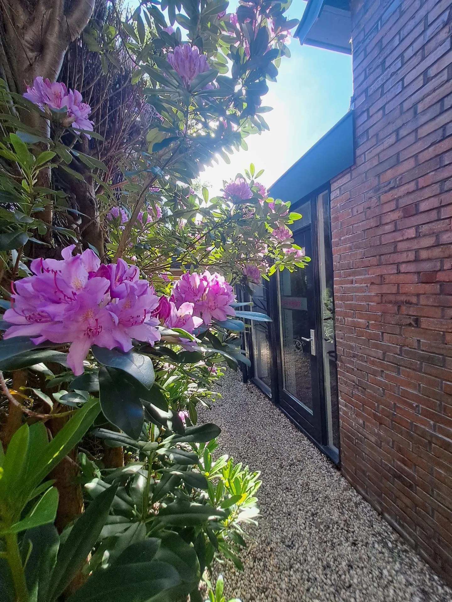 Mensinge 15 Zuidlaren thumbnail 74