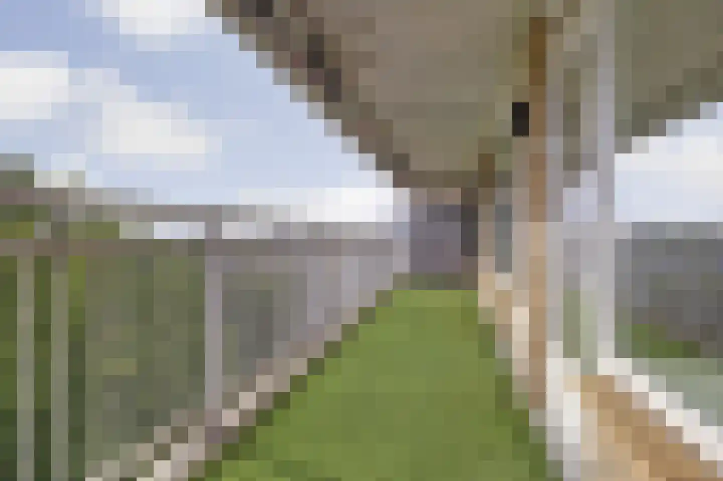 Mensinge 18 Amsterdam thumbnail 22