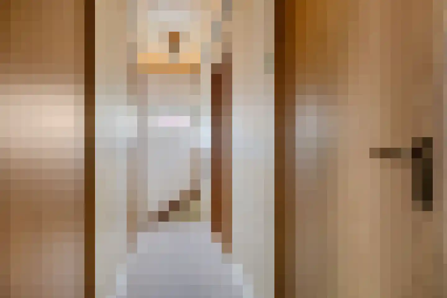 Mensinge 25 Zuidlaren thumbnail 22