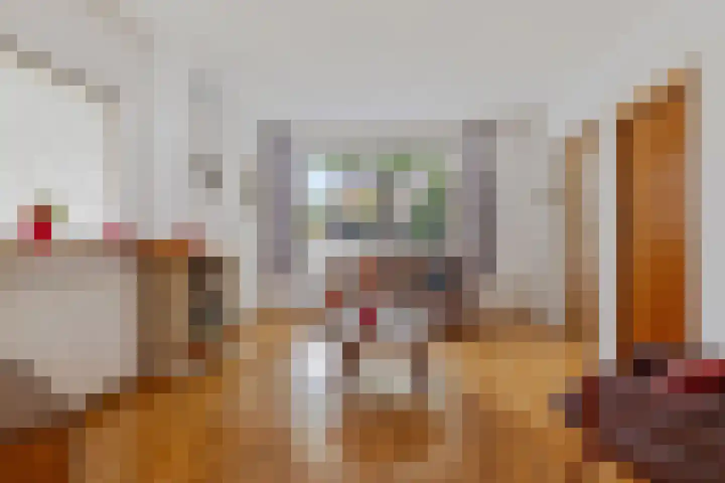 Mensinge 25 Zuidlaren thumbnail 4
