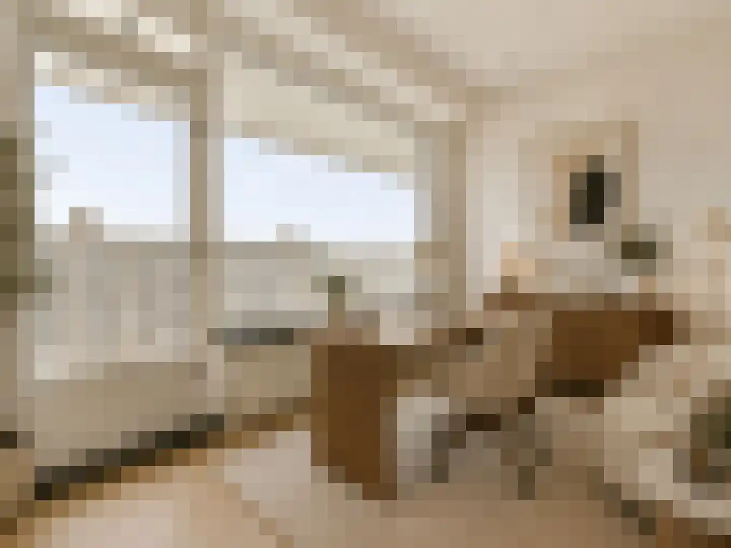 Mensinge 26 Amsterdam thumbnail 16