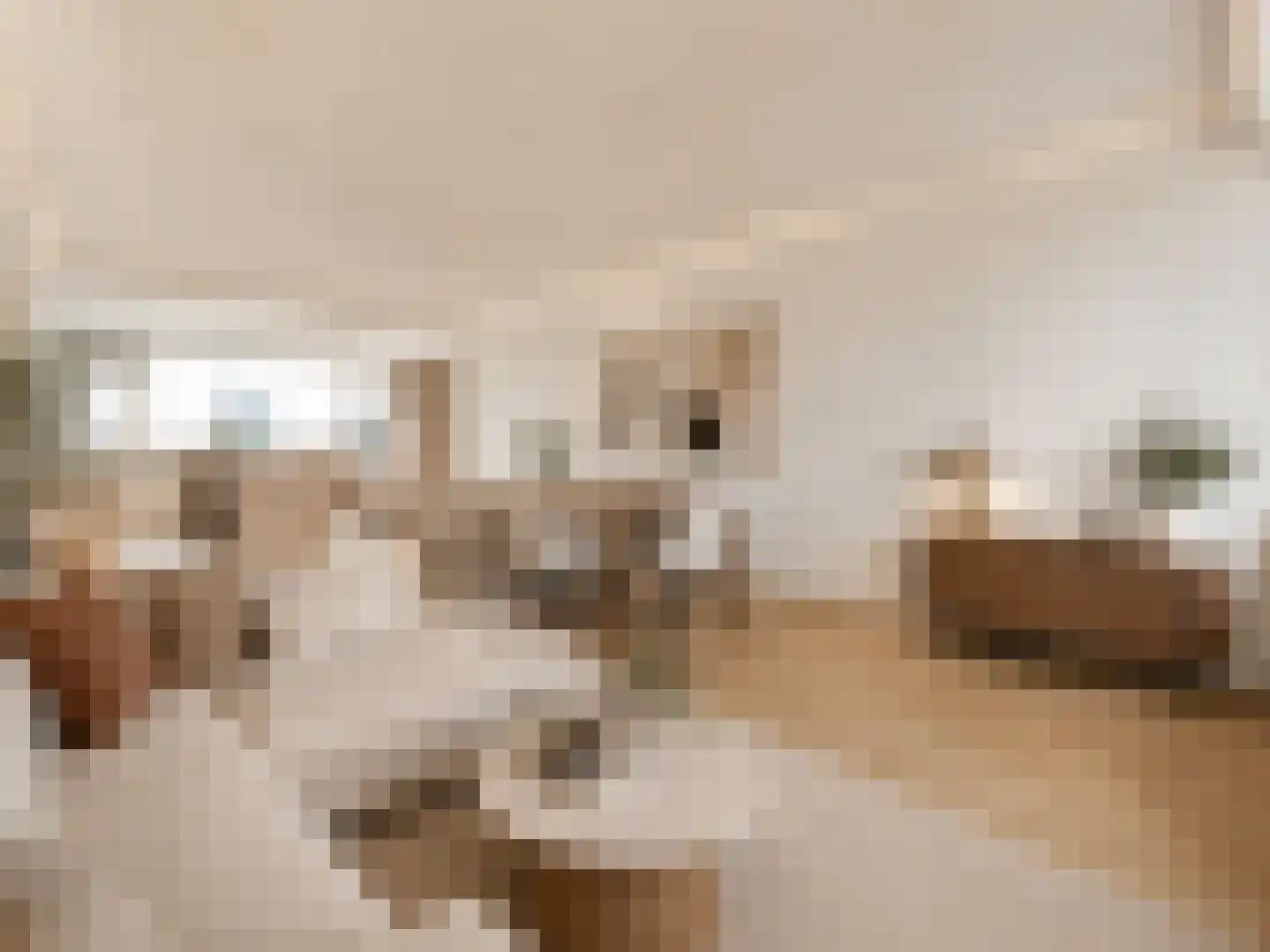 Mensinge 26 Amsterdam thumbnail 7