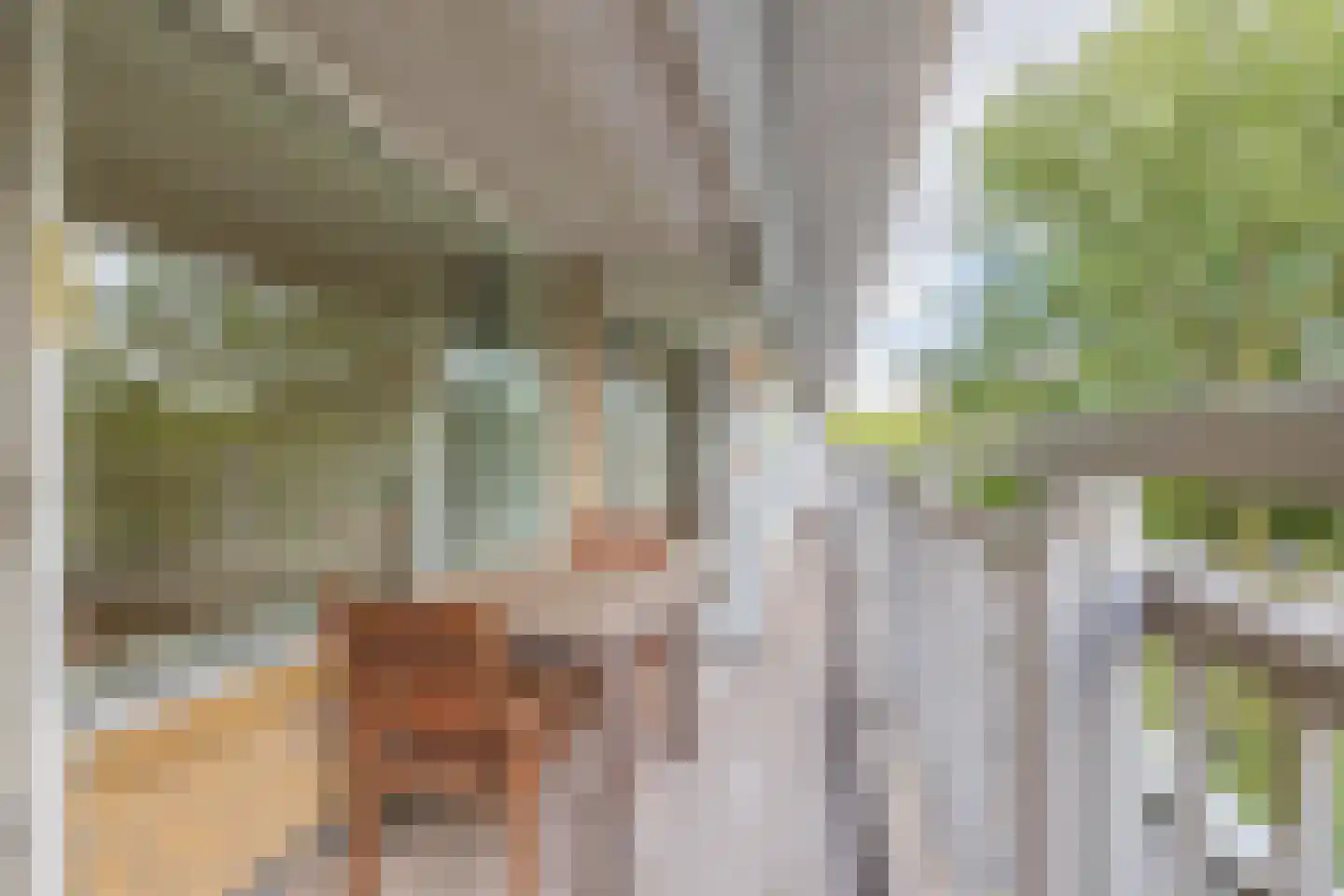Mensinge 30 Amsterdam thumbnail 17