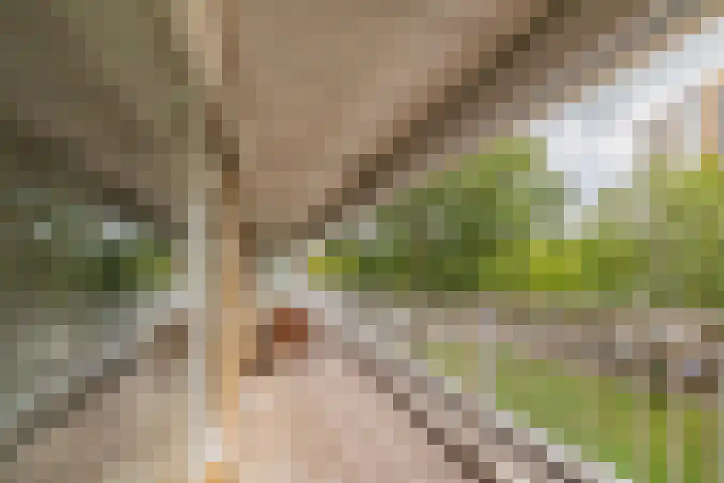 Mensinge 30 Amsterdam thumbnail 34