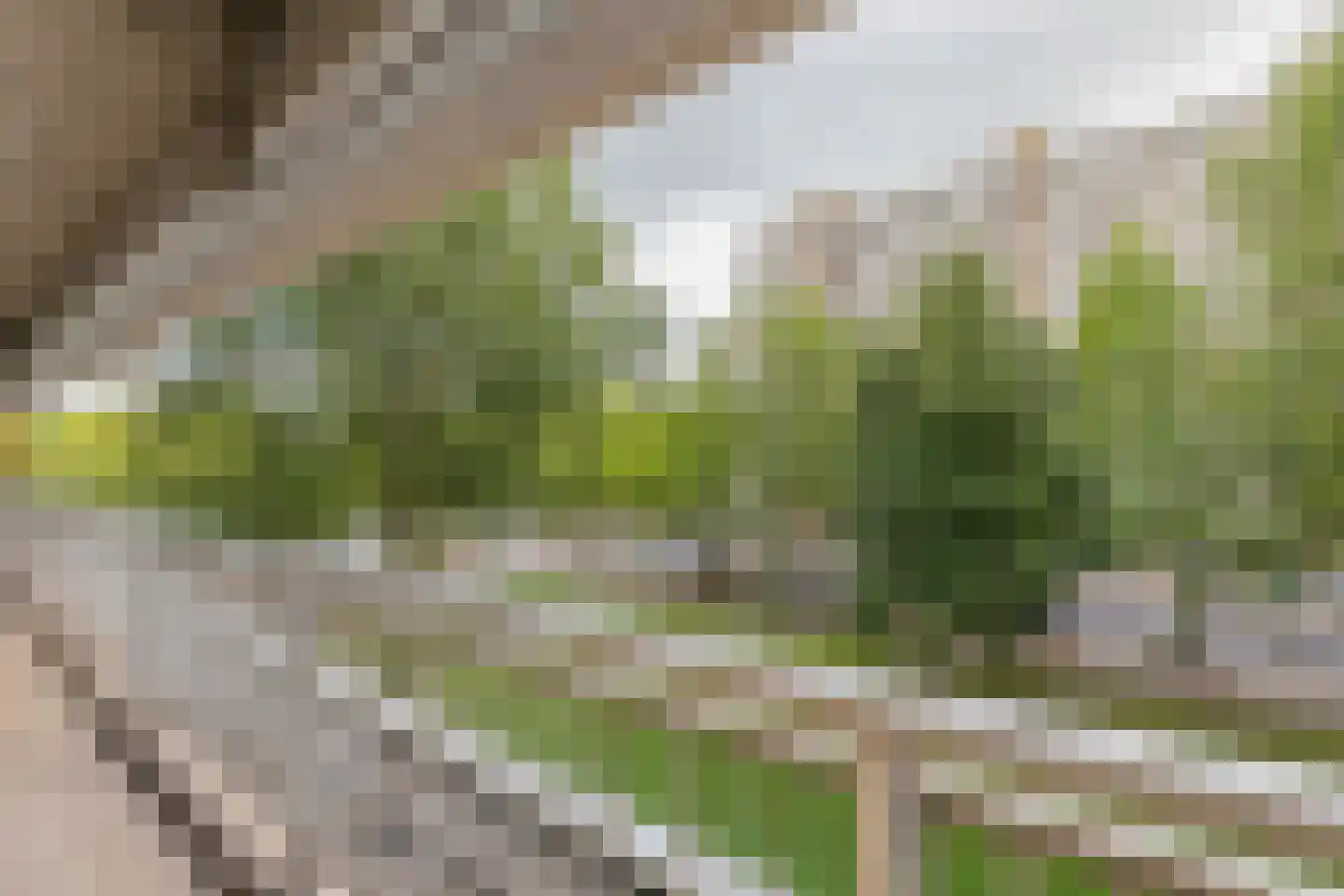 Mensinge 30 Amsterdam thumbnail 36