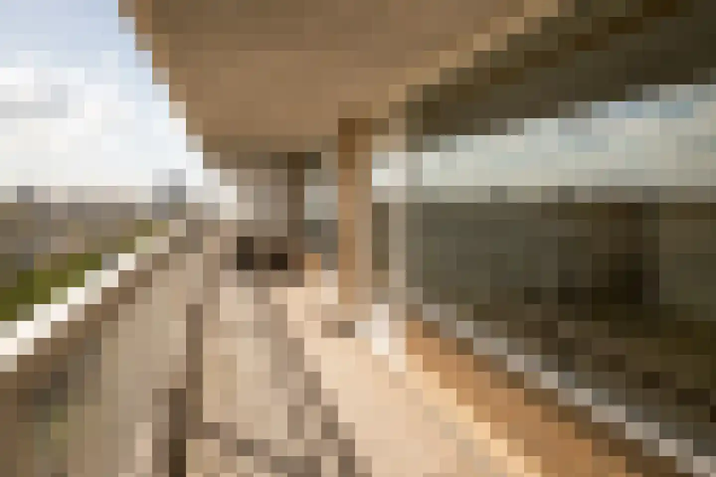 Mensinge 48 Amsterdam thumbnail 41