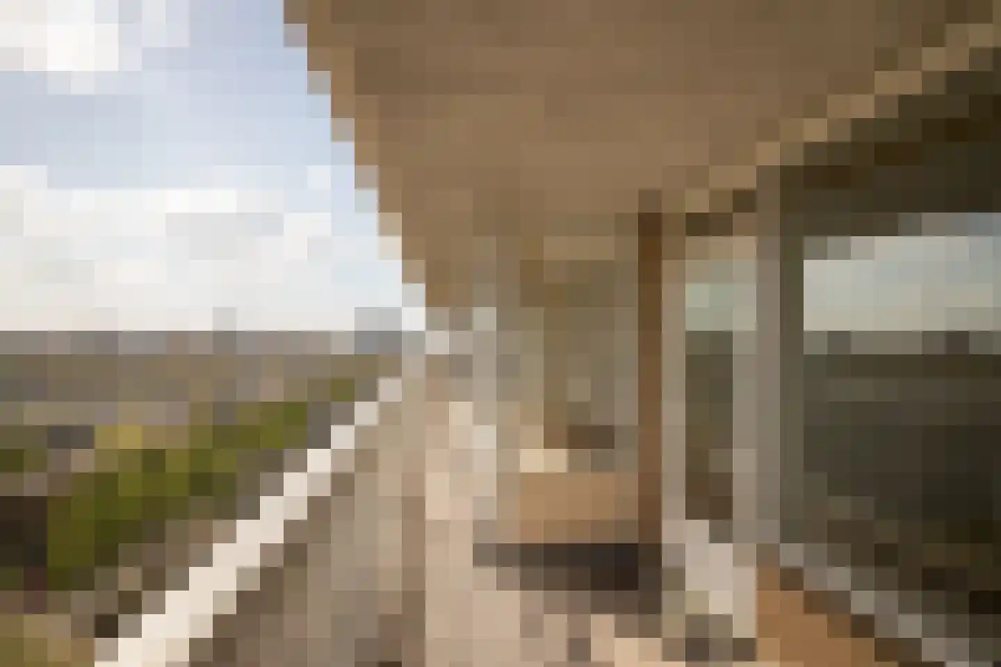 Mensinge 48 Amsterdam thumbnail 43