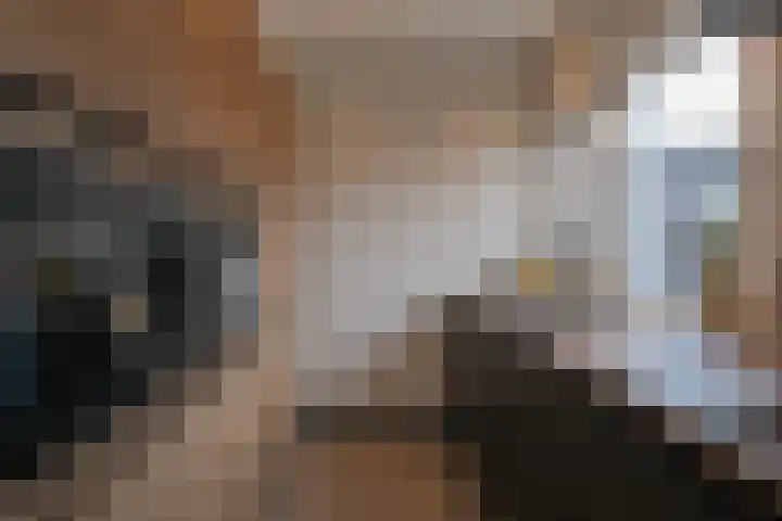 Mensinge 5 Almelo thumbnail 10