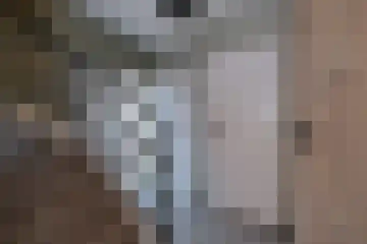 Mensinge 5 Almelo thumbnail 13
