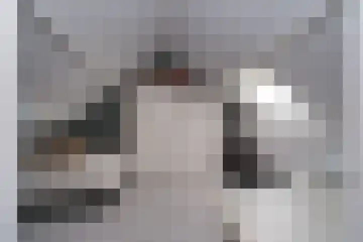 Mensinge 5 Almelo thumbnail 22