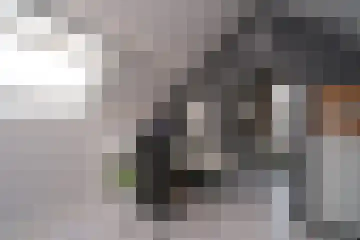 Mensinge 5 Almelo thumbnail 23