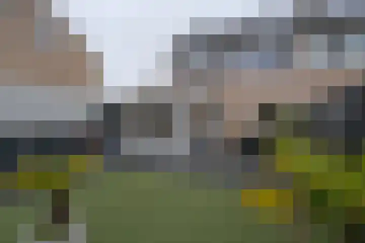 Mensinge 5 Almelo thumbnail 24