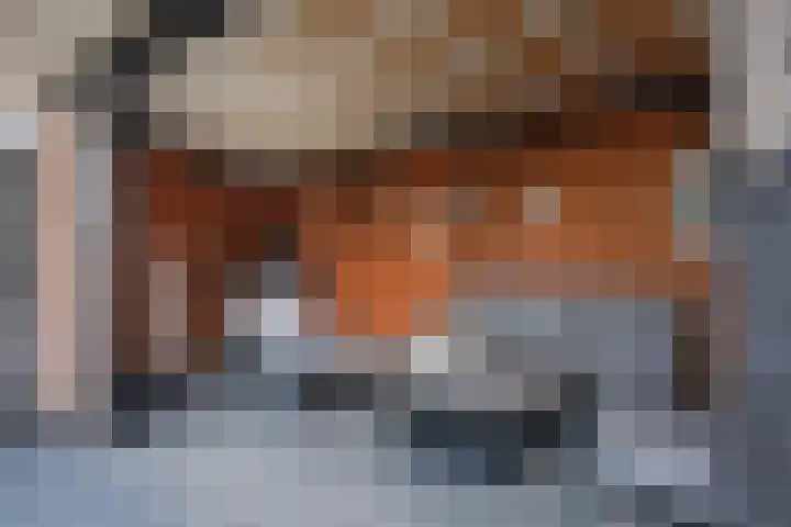 Mensinge 5 Almelo thumbnail 27