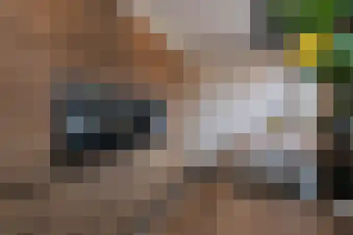 Mensinge 5 Almelo thumbnail 9