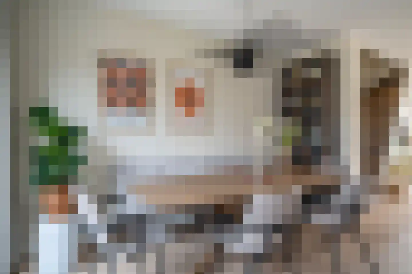 Mensinge 5 Meppel thumbnail 10