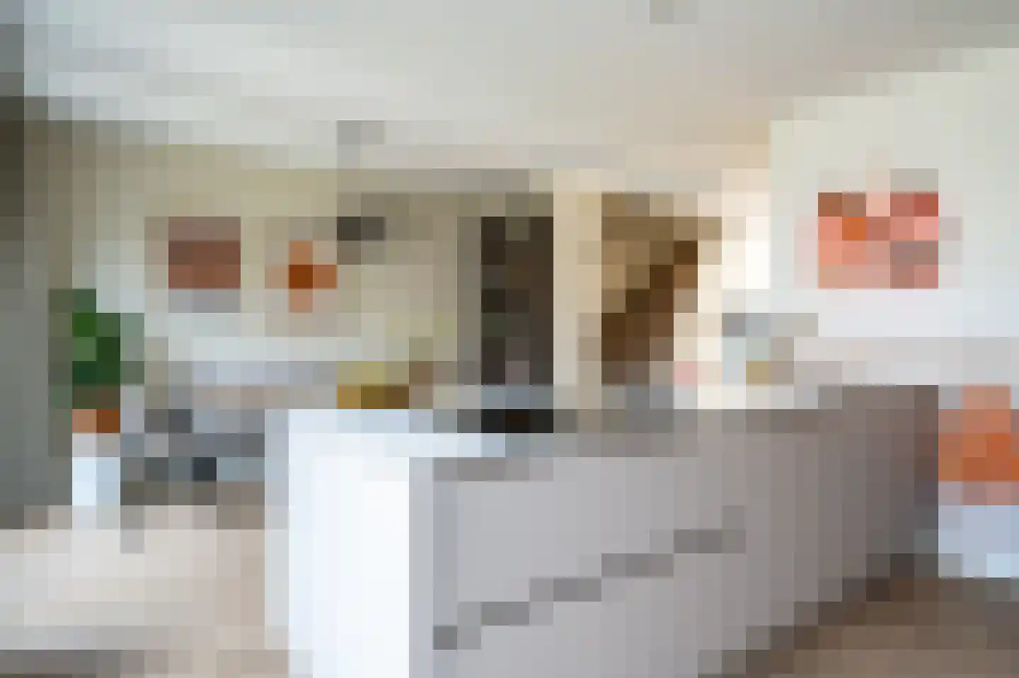 Mensinge 5 Meppel thumbnail 12