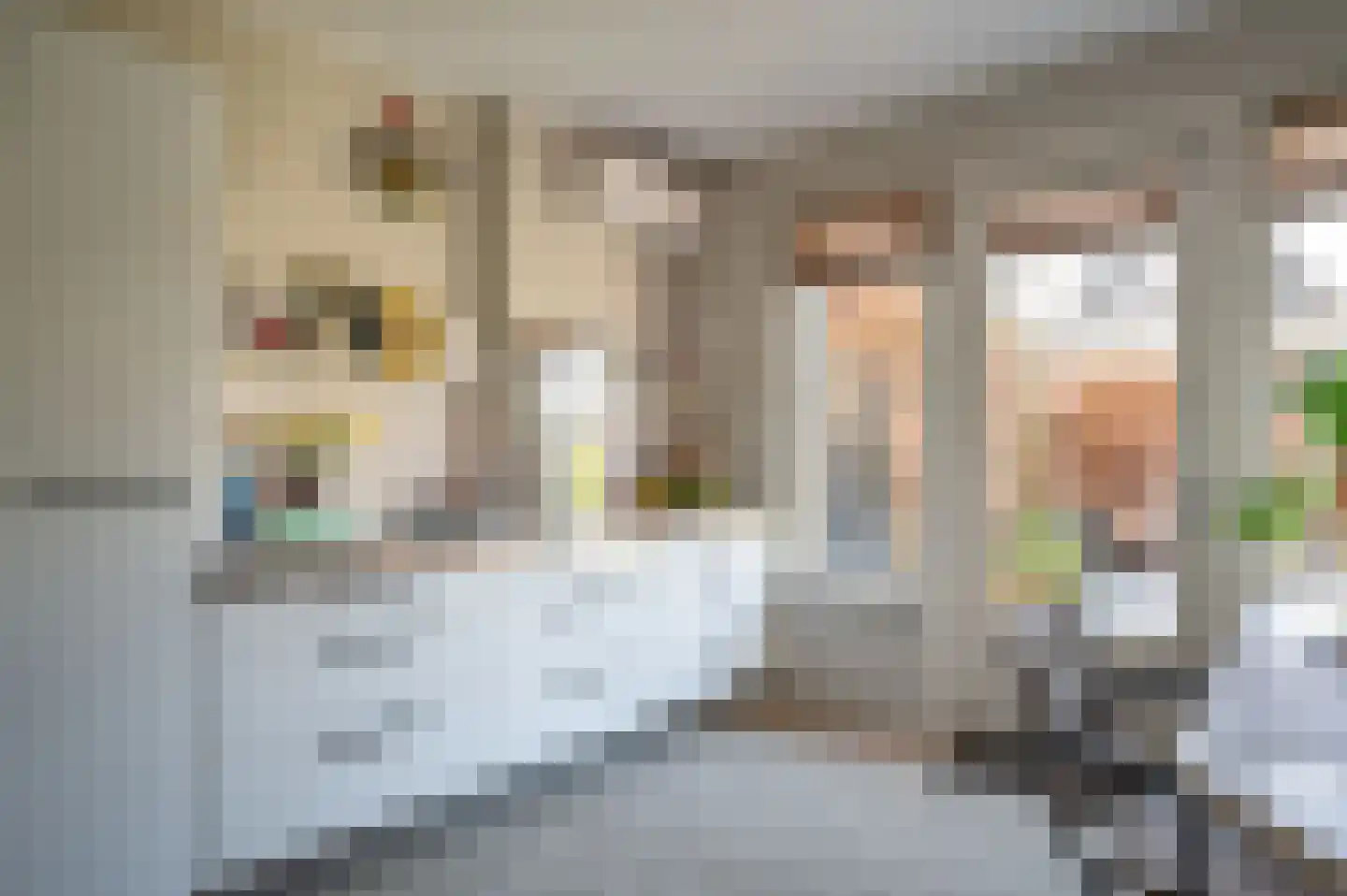 Mensinge 5 Meppel thumbnail 15