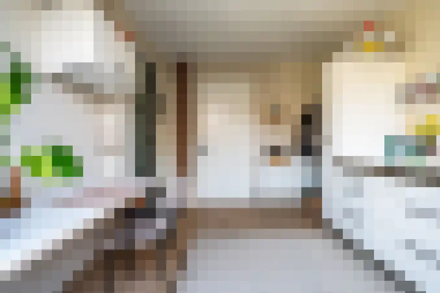 Mensinge 5 Meppel thumbnail 16