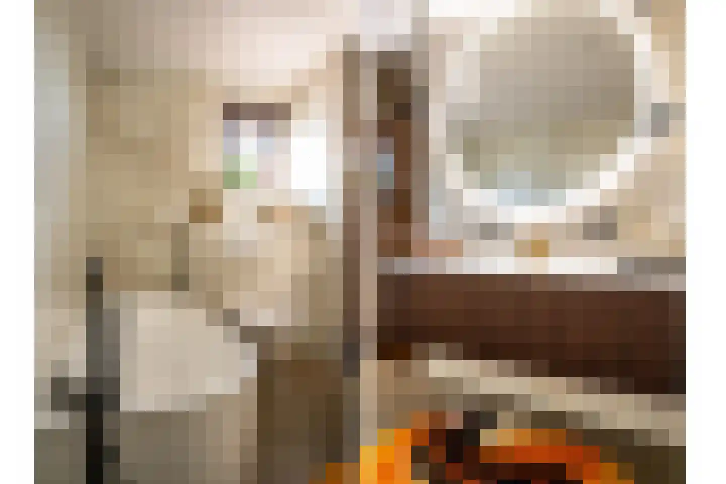 Mensinge 5 Meppel thumbnail 27