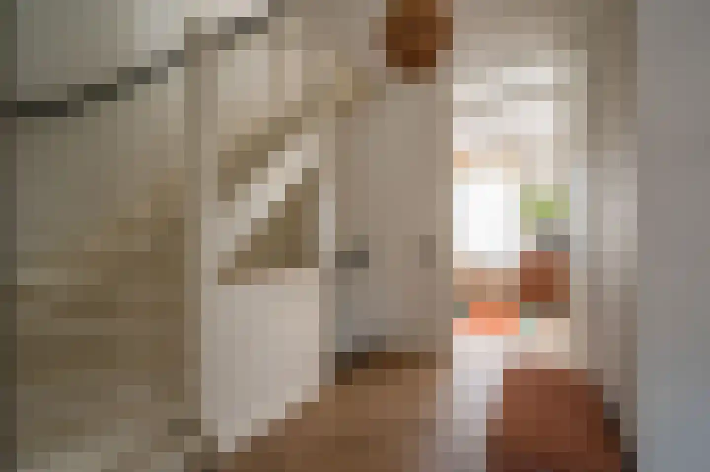 Mensinge 5 Meppel thumbnail 29