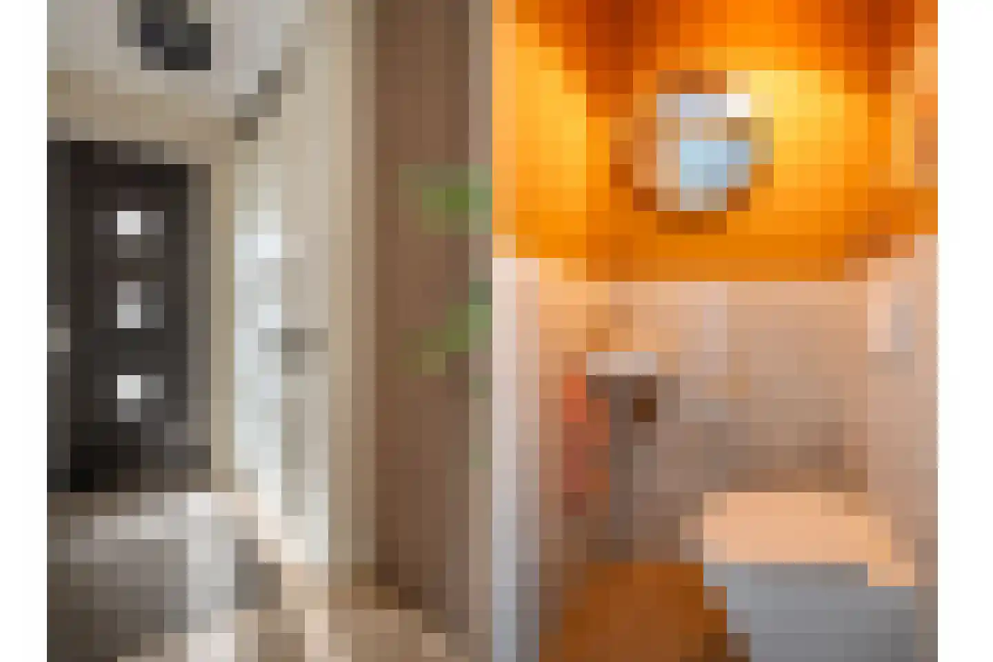Mensinge 5 Meppel thumbnail 4